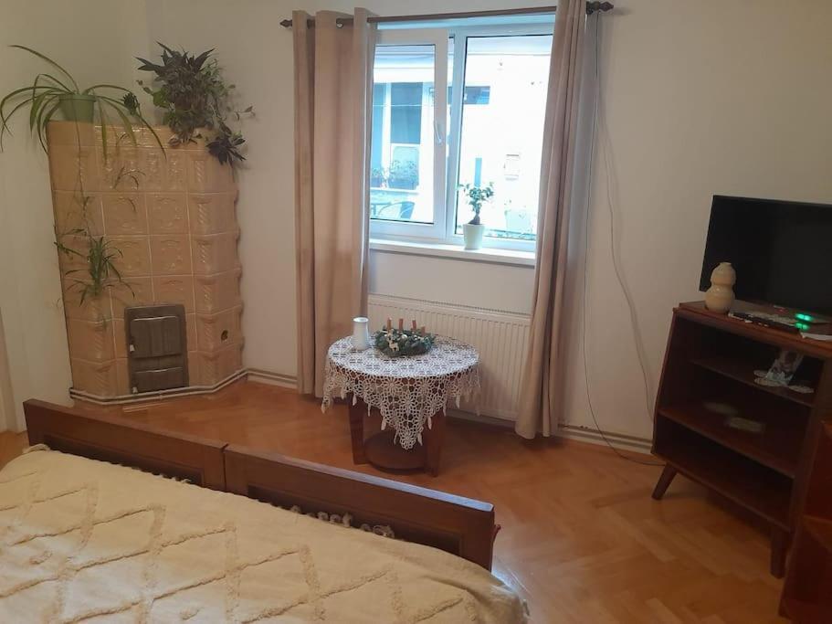 Emese Central Vintage Apartment Târgu-Mureş Екстериор снимка