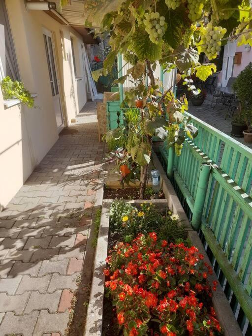 Emese Central Vintage Apartment Târgu-Mureş Екстериор снимка