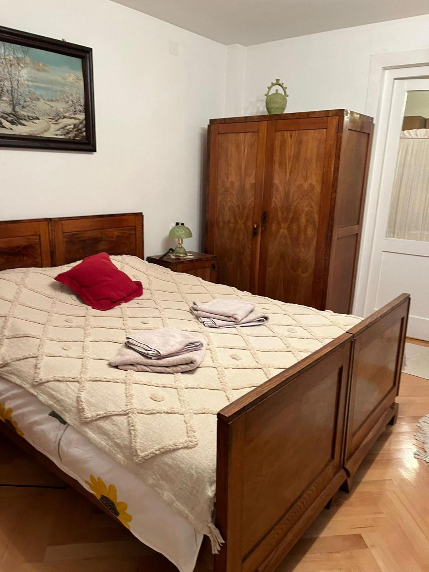 Emese Central Vintage Apartment Târgu-Mureş Екстериор снимка