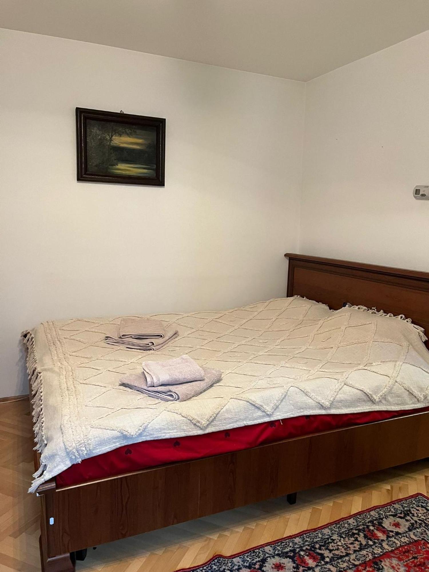 Emese Central Vintage Apartment Târgu-Mureş Екстериор снимка