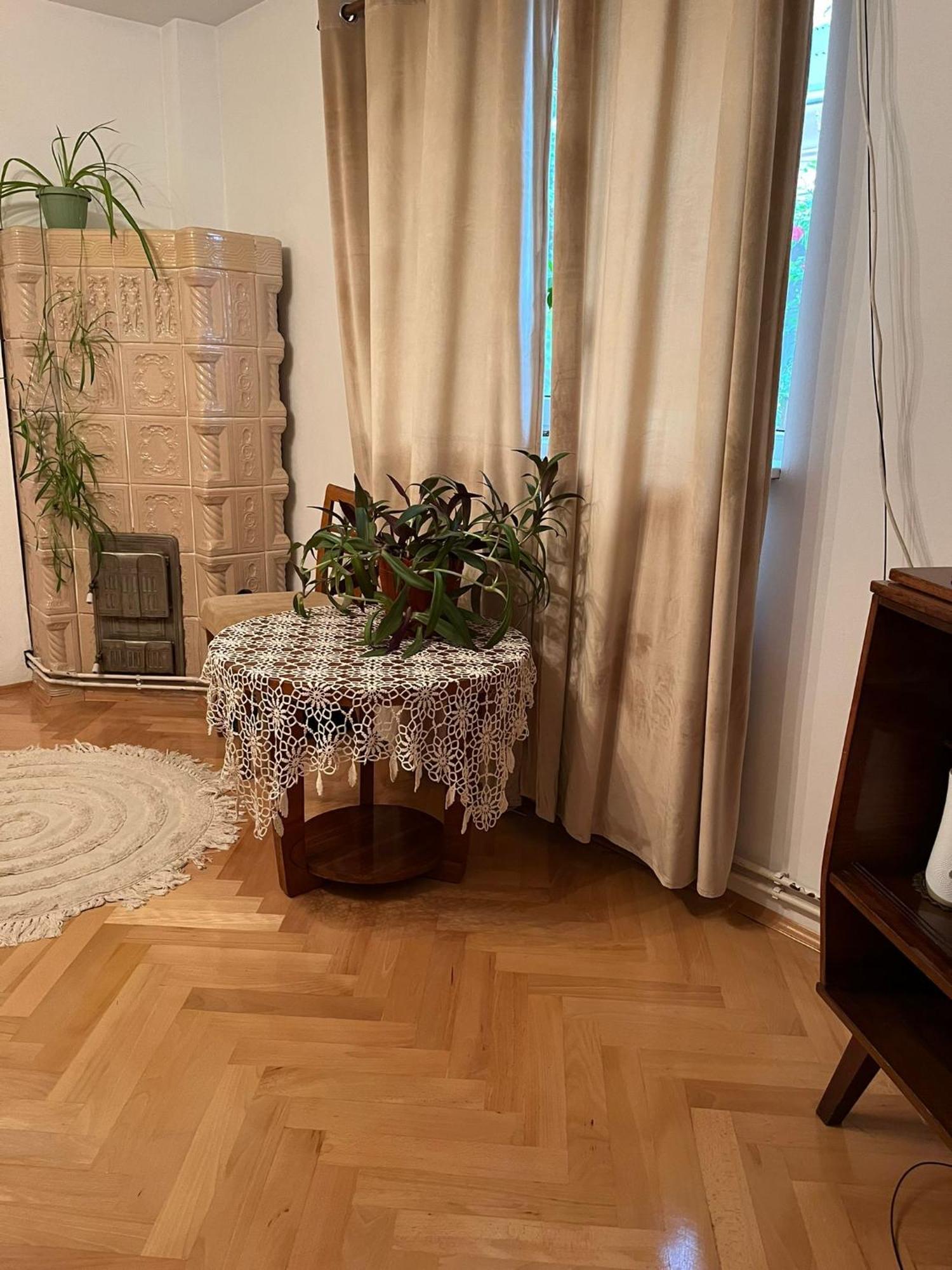Emese Central Vintage Apartment Târgu-Mureş Екстериор снимка