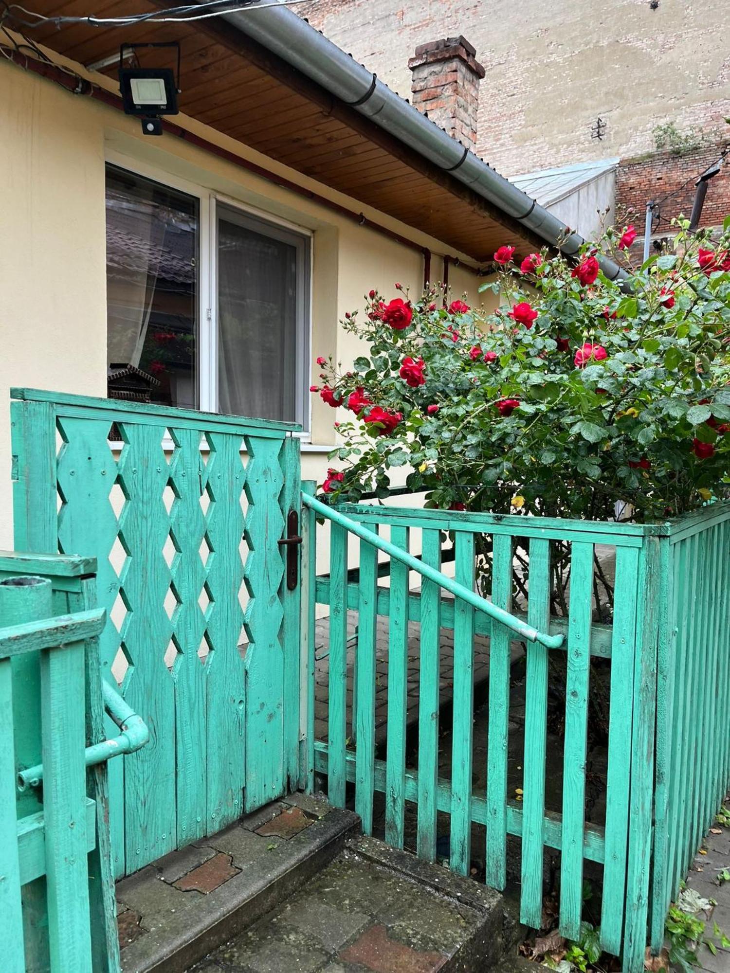 Emese Central Vintage Apartment Târgu-Mureş Екстериор снимка